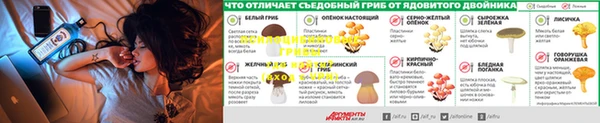 соль ск Балабаново
