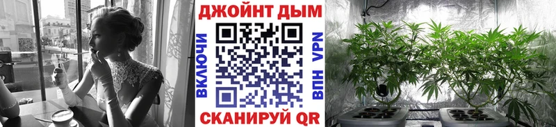где найти   Горно-Алтайск  shop состав  Конопля семена  OMG ССЫЛКА 